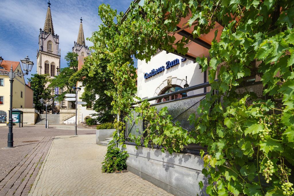 Gasthaus Zum Schwan Oschatz Esterno foto
